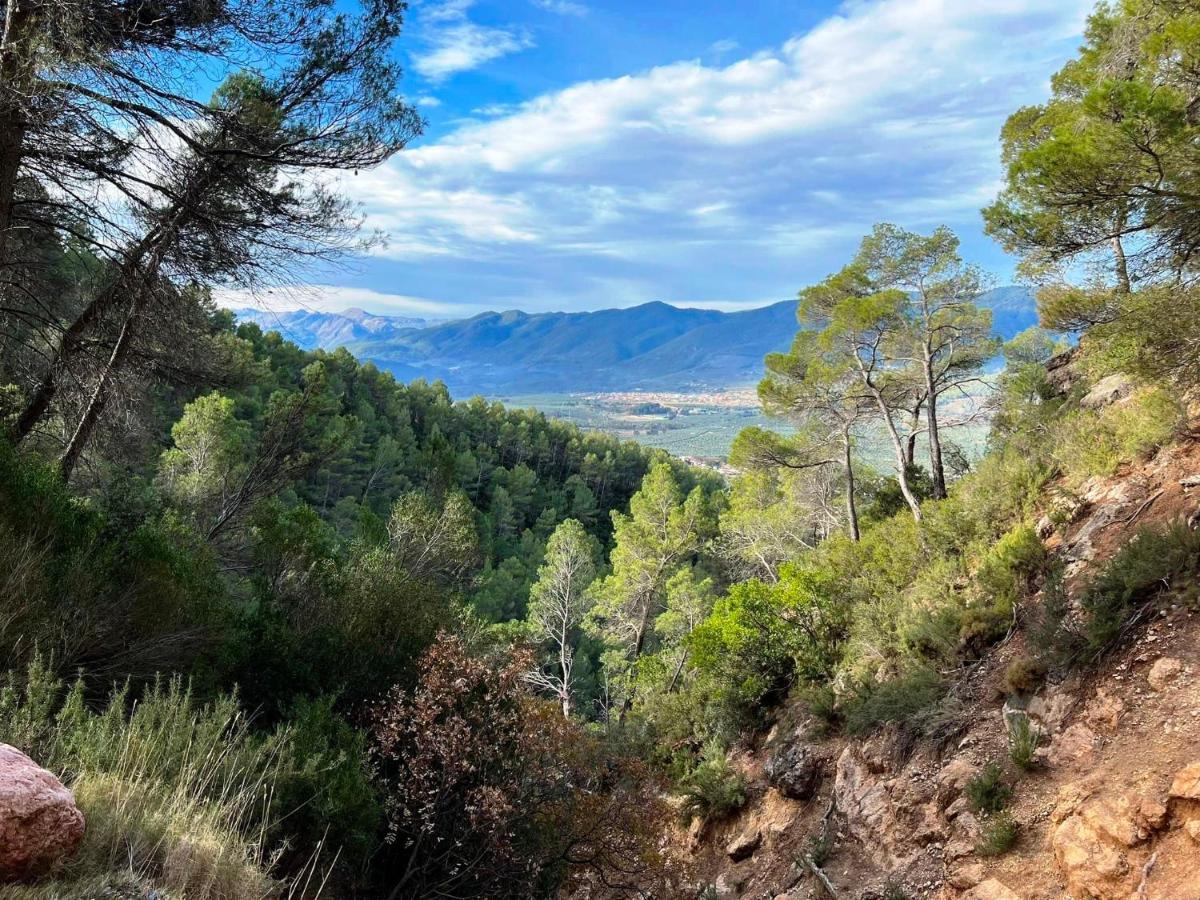 Casa Rural Puente Del Segura Elche de la Sierra Exteriér fotografie