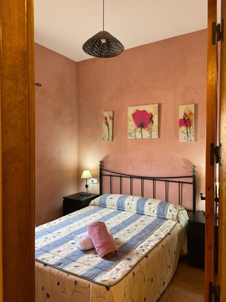 Casa Rural Puente Del Segura Elche de la Sierra Exteriér fotografie