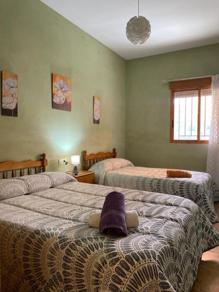 Casa Rural Puente Del Segura Elche de la Sierra Exteriér fotografie