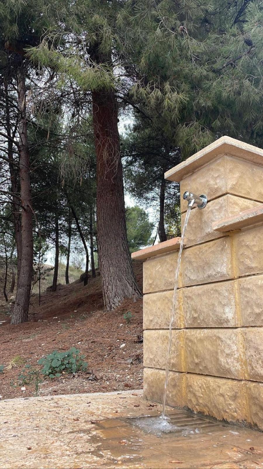 Casa Rural Puente Del Segura Elche de la Sierra Exteriér fotografie