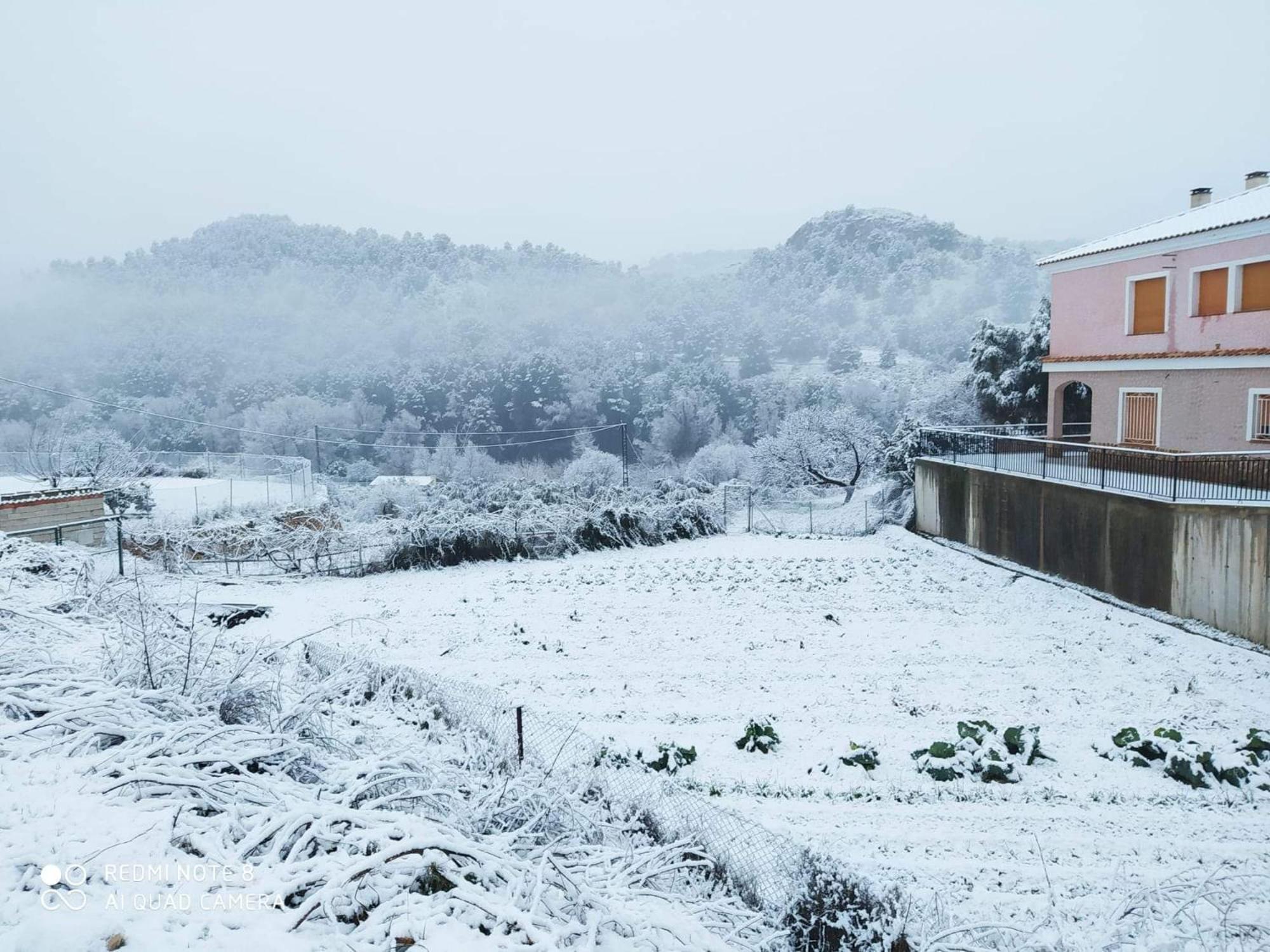 Casa Rural Puente Del Segura Elche de la Sierra Exteriér fotografie
