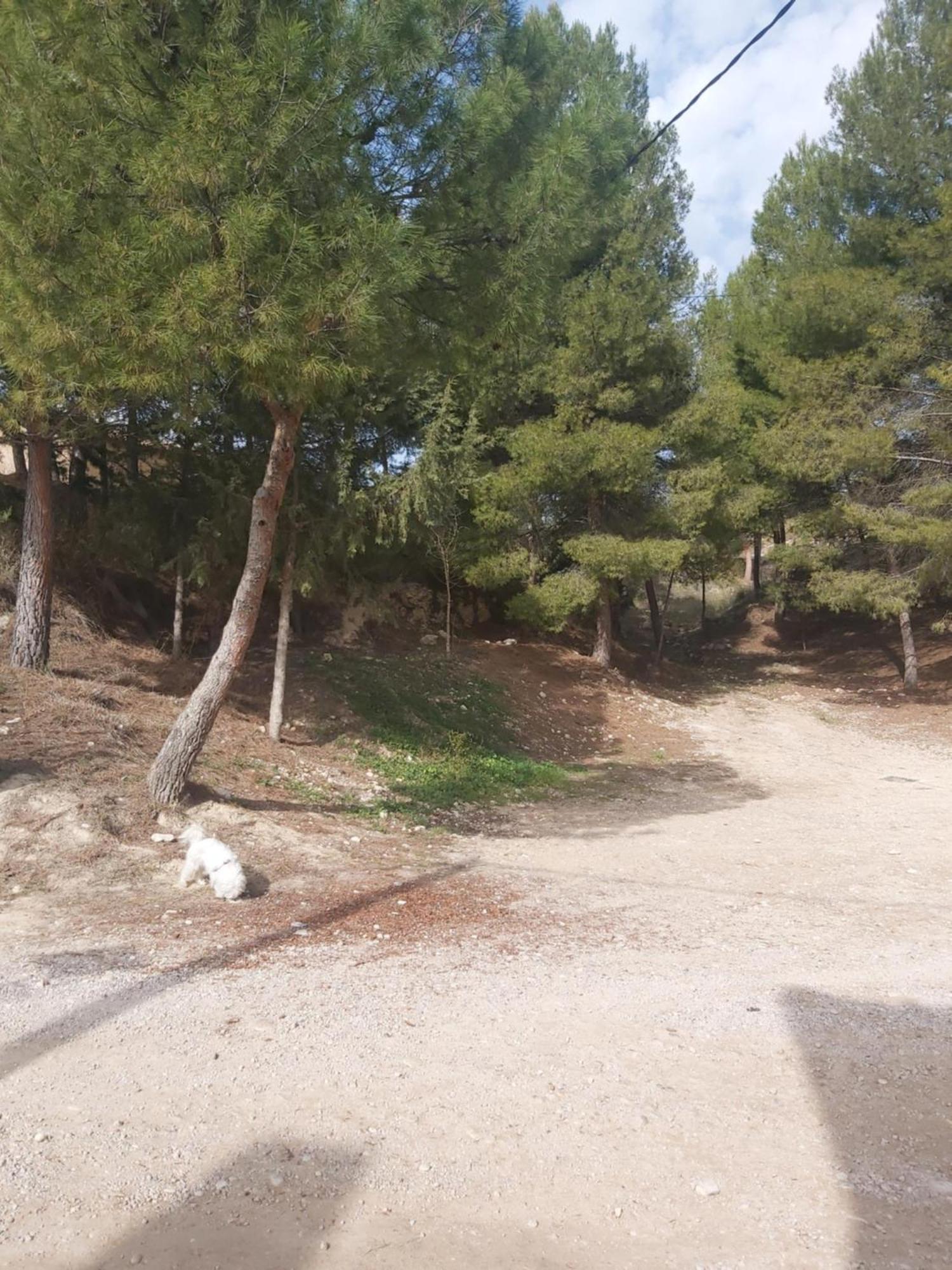 Casa Rural Puente Del Segura Elche de la Sierra Exteriér fotografie