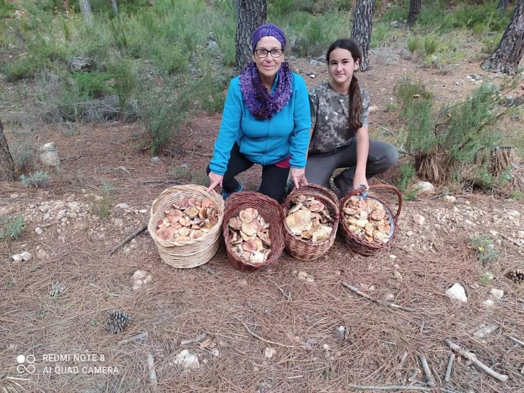 Casa Rural Puente Del Segura Elche de la Sierra Exteriér fotografie
